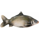 Karp - płaskorzeźba drewniana - rzeźba (Model 2) rzeźba drewniana – dekoracja biura – ujęcie 3