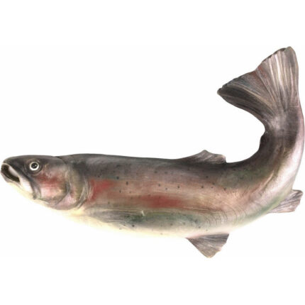 Pstrąg Potokowy - płaskorzeźba drewniana - rzeźba (Model 2) rzeźba drewniana – dekoracja wnętrza – ujęcie 2