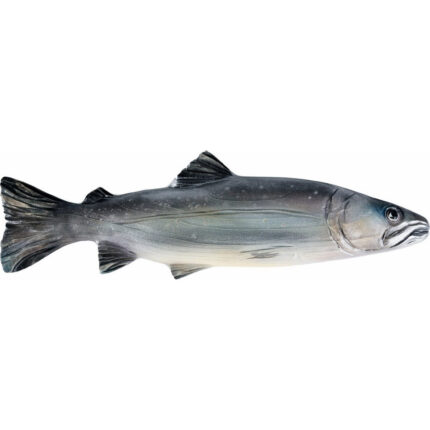 Pstrąg Tęczowy - drewniana płaskorzeźba - rzeźba (Model 2) rzeźba drewniana – dekoracja salonu – ujęcie 3