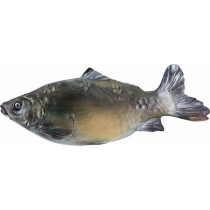 Karp - płaskorzeźba drewniana - rzeźba (model 3) rzeźba drewniana – dekoracja wnętrza – ujęcie 3