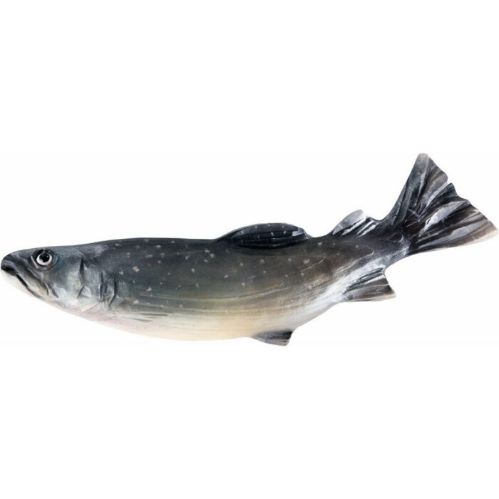 Pstrąg Tęczowy - płaskorzeźba drewniana - rzeźba (model 1) – elegancka rzeźba z drewna do Pstrąg Tęczowy - płaskorzeźba drewniana - rzeźba (model 1) rzeźba drewniana – dekoracja salonu – ujęcie 2