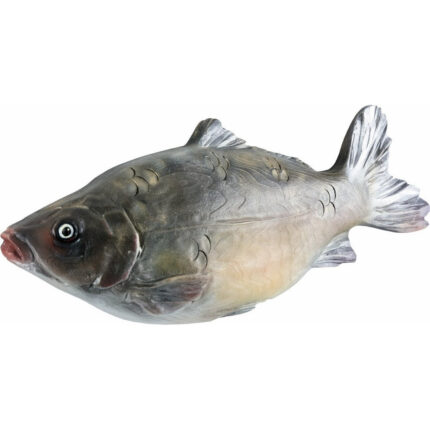 Karp - płaskorzeźba drewniana - rzeźba (model 3) rzeźba drewniana – dekoracja wnętrza – ujęcie 2