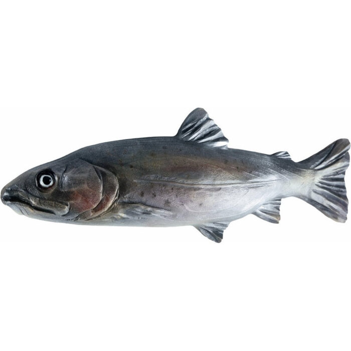 Pstrąg Potokowy - płaskorzeźba drewniana - rzeźba (model 1) rzeźba drewniana – dekoracja biblioteki