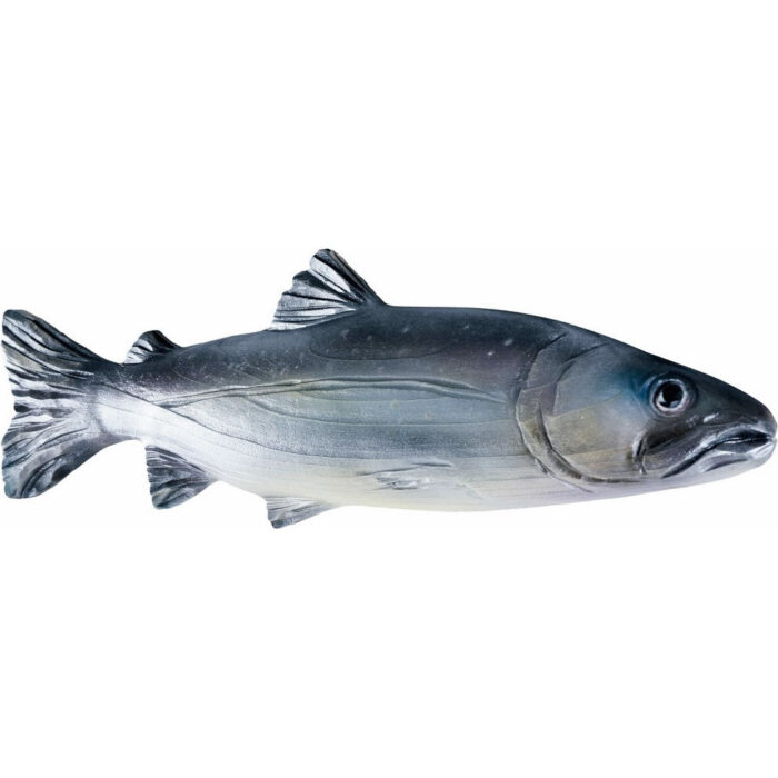 Pstrąg Tęczowy - drewniana płaskorzeźba - rzeźba (Model 2) rzeźba drewniana – dekoracja gabinetu